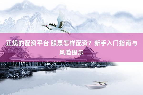 正规的配资平台 股票怎样配资？新手入门指南与风险提示