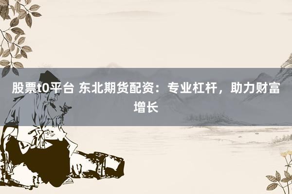 股票t0平台 东北期货配资：专业杠杆，助力财富增长