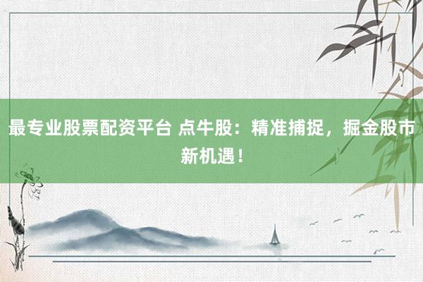 最专业股票配资平台 点牛股：精准捕捉，掘金股市新机遇！