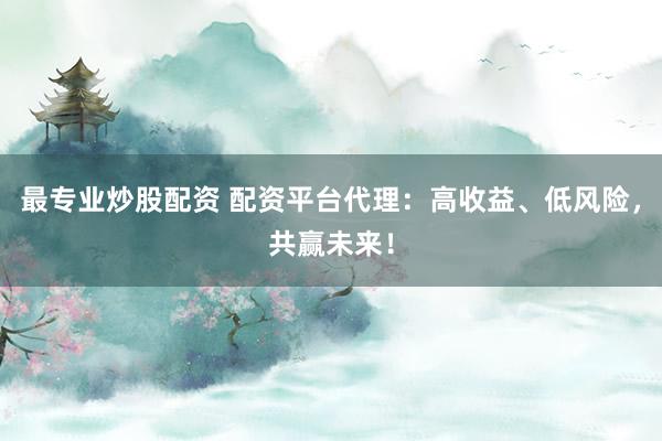 最专业炒股配资 配资平台代理：高收益、低风险，共赢未来！