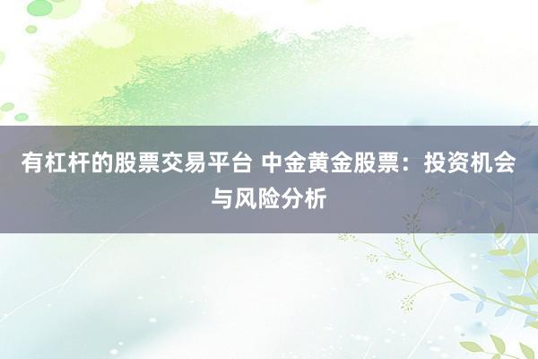 有杠杆的股票交易平台 中金黄金股票：投资机会与风险分析