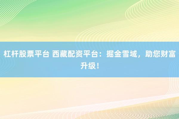 杠杆股票平台 西藏配资平台：掘金雪域，助您财富升级！