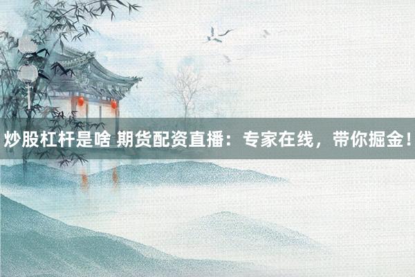炒股杠杆是啥 期货配资直播：专家在线，带你掘金！