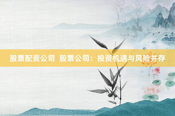 股票配资公司 股票公司:投资机遇与风险并存