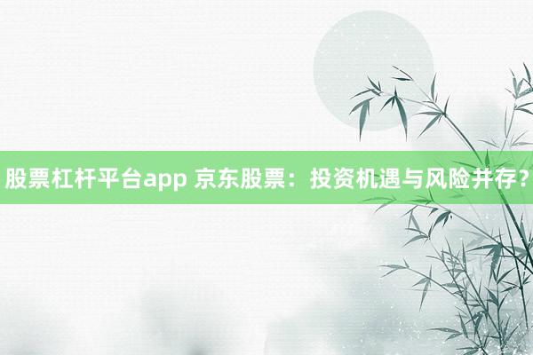 股票杠杆平台app 京东股票：投资机遇与风险并存？
