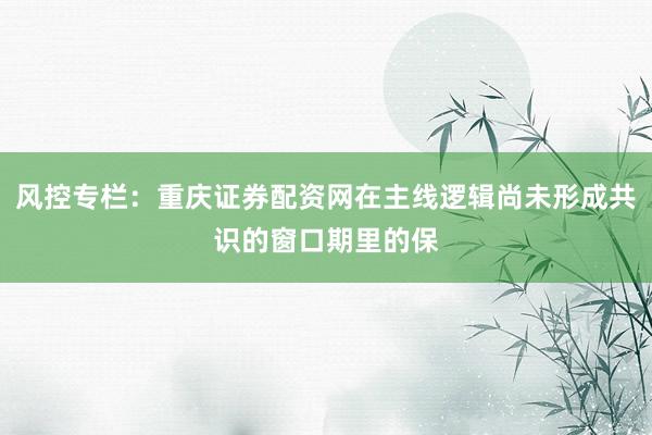 风控专栏：重庆证券配资网在主线逻辑尚未形成共识的窗口期里的保