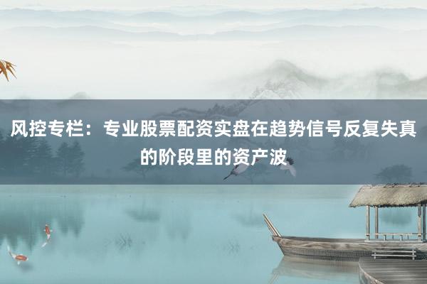 风控专栏:专业股票配资实盘在趋势信号反复失真的阶段里的资产波