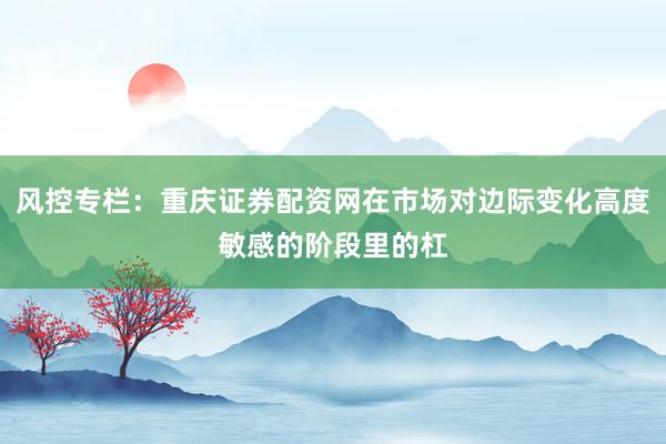 风控专栏:重庆证券配资网在市场对边际变化高度敏感的阶段里的杠