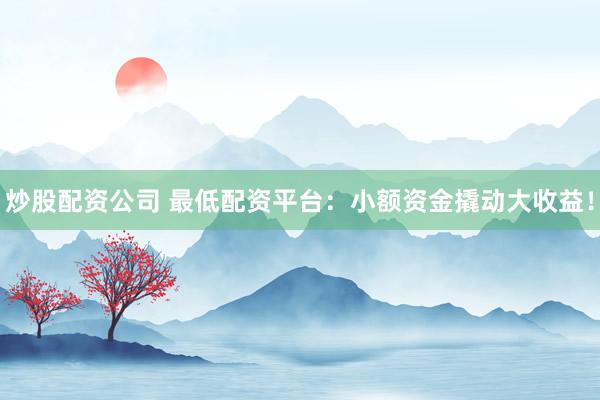 炒股配资公司 最低配资平台：小额资金撬动大收益！
